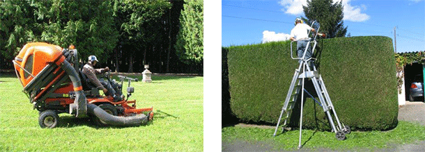 Entretien d'espaces verts près de Rennes